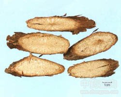 ��ˎ�����وDƬ