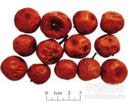 ����ӵĹ�Ч�c����