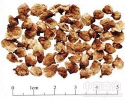 ��ˎ÷���Ĺ�Ч�c����