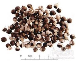 ���G�ӵĹ�Ч�c����