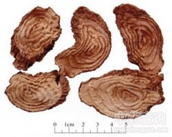 ��ꑵĹ�Ч�c����