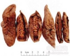 �A(y��)֪��