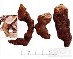 �ؘǵĹ�Ч�c����