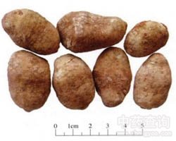 �׸��ӹ�Ч�c����