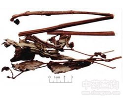 ���ײݵĹ�Ч�c����