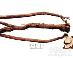 �t�εĹ�Ч�c����