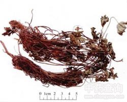 ���X�ݵĹ�Ч�c����