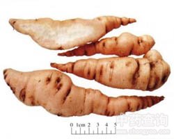 ���S�Ĺ�Ч�c����