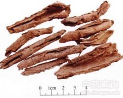 ��ˎ�ع�Ƥ�Ĺ�Ч�c����