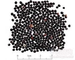 �������еĹ�Ч�c����