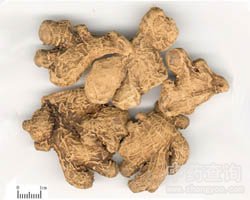 ��ˎ����Ƥ�DƬ