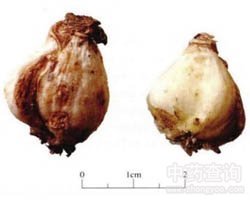 ��ˎ��ؐĸ�DƬ