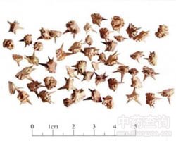 ��޼�Ĺ�Ч�c����