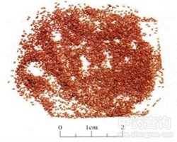 ��˞�ӵĹ�Ч�c����