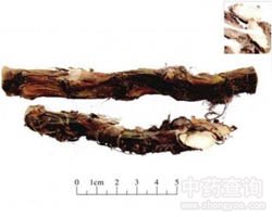 �����ѵĹ�Ч�c����