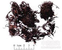 ��ˎ����Ĺ�Ч�c����