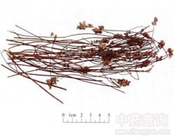 ��޸�Ĺ�Ч�c����