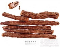 �iꖵĹ�Ч�c����