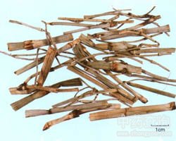 ��(w��n)�G