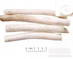 ͨ�ݵĹ�Ч�c����