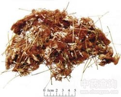 �Ϛg���Ĺ�Ч�c����