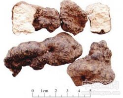 �i�ߵĹ�Ч�c����