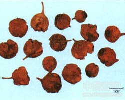 ��ˎ��ɽ髈DƬ