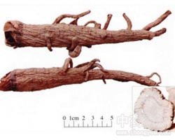 ���ƵĹ�Ч�c����