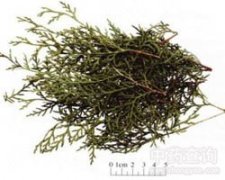 ��(c��)���~