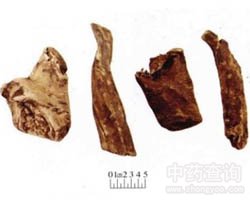 ��ˎ�uצ���S�DƬ