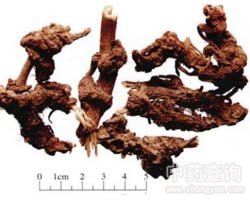 ޻���Ĺ�Ч�c����