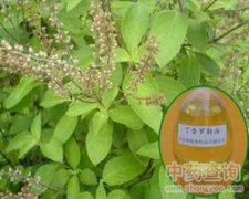 �����_����