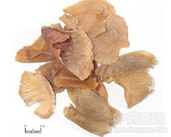 �u��(n��i)��