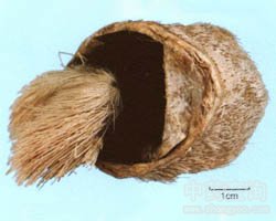 ����Ĺ�Ч�c����