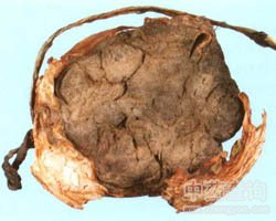 �Ϻ�܇�Ĺ�Ч�c����