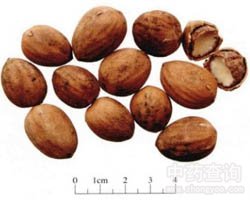 ��ӵĹ�Ч�c����