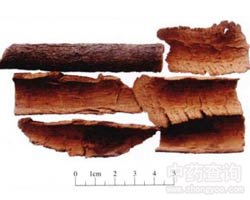 ���Ĺ�Ч�c����