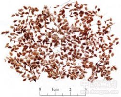 ���Qʭ�Ĺ�Ч�c����