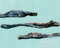 ��ˎ�����DƬ