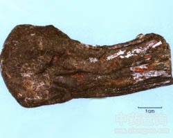 ��đ�Ĺ�Ч�c����