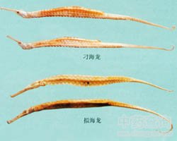 ��ˎ�����Ĺ�Ч�c����