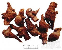 �����Ĺ�Ч�c����