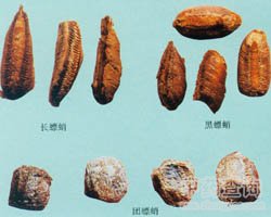 ��ˎɣ��وDƬ