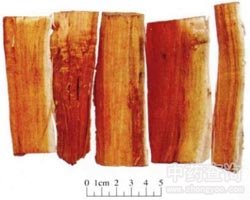 �Kľ�Ĺ�Ч�c����