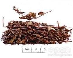 ����ݵĹ�Ч�c����