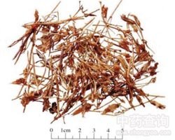 ��(d��ng)ˎ�Ĺ�Ч�c����