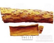 �P(gu��n)�S��