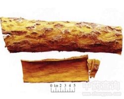 �P(gu��n)�S��