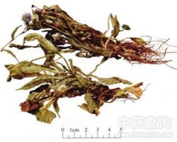 ���K��(x��)��