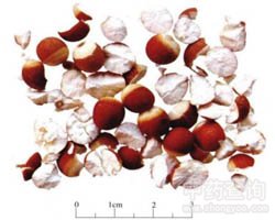 �͌�(sh��)�Ĺ�Ч�c����